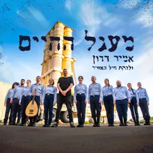 מעגל החיים