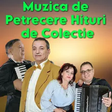 Muzica de Petrecere Hituri de Colectie