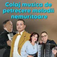 Muzică lăutărească de pahar