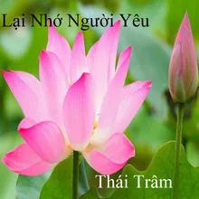 Lại Nhớ Người Yêu