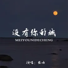 没有你的城