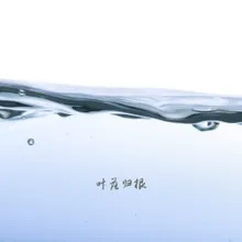 雨后见你