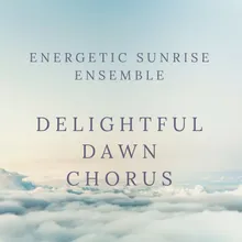 Joyful Dawn Orchestra