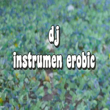 Dj Instrumen Erobic