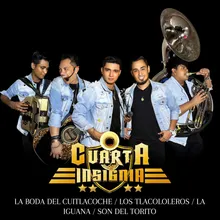 La Boda Del Cuitlacoche / Los Tlacololeros / La Iguana / Son Del Torito