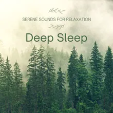 Peaceful Pillow Playlist