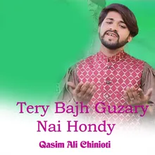 Tery Bajh Guzary Nai Hondy