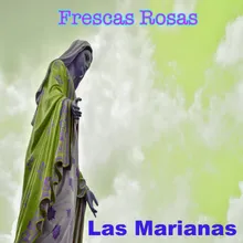 Frescas Rosas