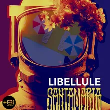 Libellule