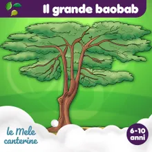 Il grande baobab