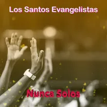 Nunca Solos