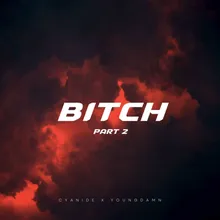 Bitch, Pt. 2
