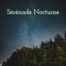Sérénade Nocturne