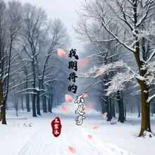 我期待的不是雪