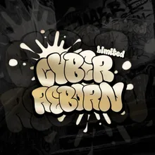 Cyber Reborn