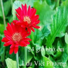 Nỗi lòng 1