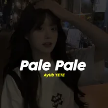 DJ PALE PALE