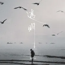 透明