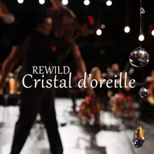 Cristal d'oreille