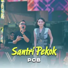 Santri Pekok