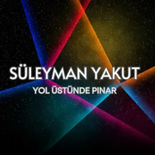 Yol Üstünde Pınar