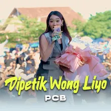 Dipetik Wong Liyo