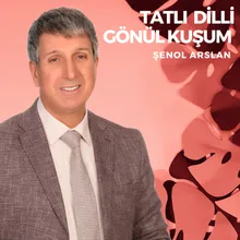 Tatlı Dilli Gönül Kuşum