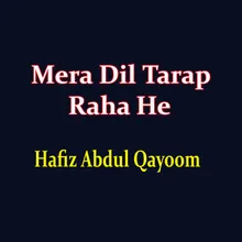 Mera Dil Tarap Raha He