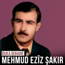 Buka Buharê