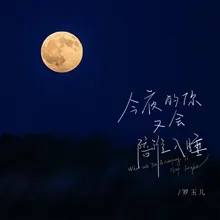 今夜的你又会陪谁入睡