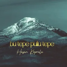 Bu Tepe Pullu Tepe