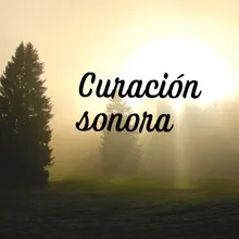 Curación sonora