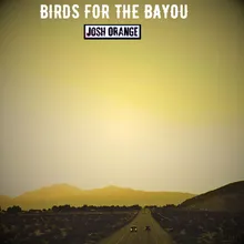 Birds For The Bayou