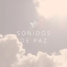 Sonidos de armonía