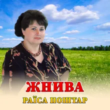 Жнива