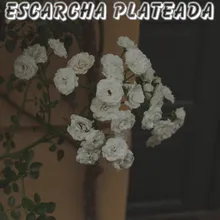 Escarcha Plateada