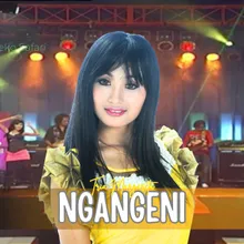 Ngangeni