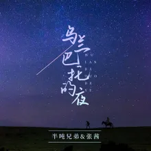 乌兰巴托的夜