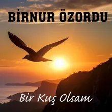 Bir Kuş Olsam