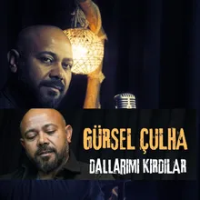 Dallarımı Kırdılar