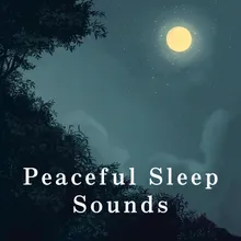 Soothing Silence of Midnight