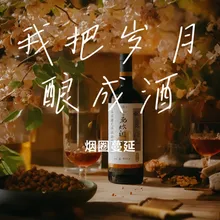 我把岁月酿成酒