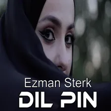 Dil Pin