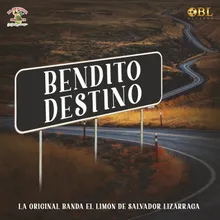 Bendito Destino