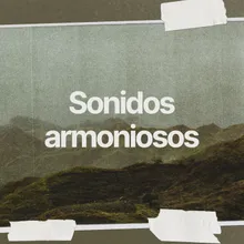 Ritmos armónicos