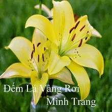 Đếm Lá Vàng Rơi 1