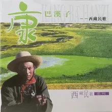 春风在心中荡漾