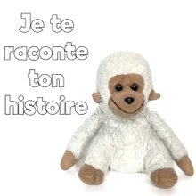 Je te raconte ton histoire