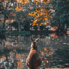 Peaceful Ponds