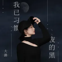 我已习惯夜的黑